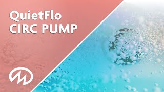 Masterspas QuietFlo Water Care System - Circulation Pump