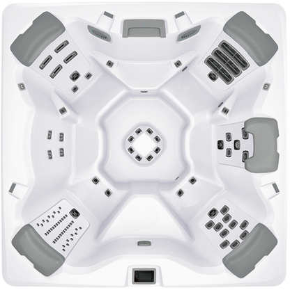 BULLFROG SPAS A7 CHOICE + LUXURY PACKAGE 367702 Platinum/Timber w/Ebony accents