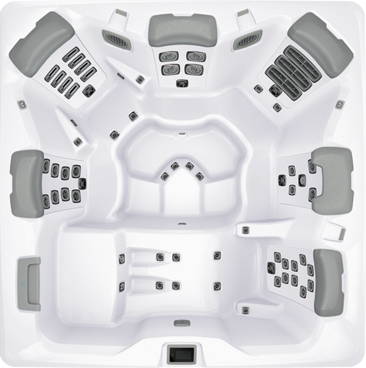 BULLFROG SPAS MODEL A8L CHOICE