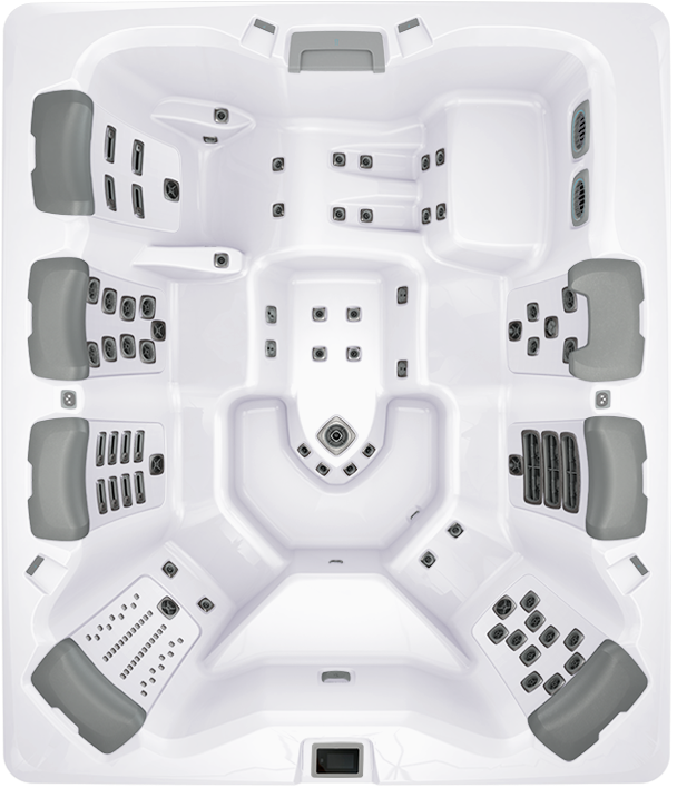 BULLFROG SPAS MODEL A9L