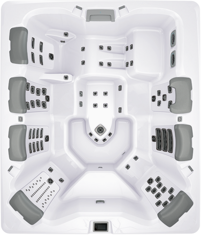 BULLFROG SPAS MODEL A9L