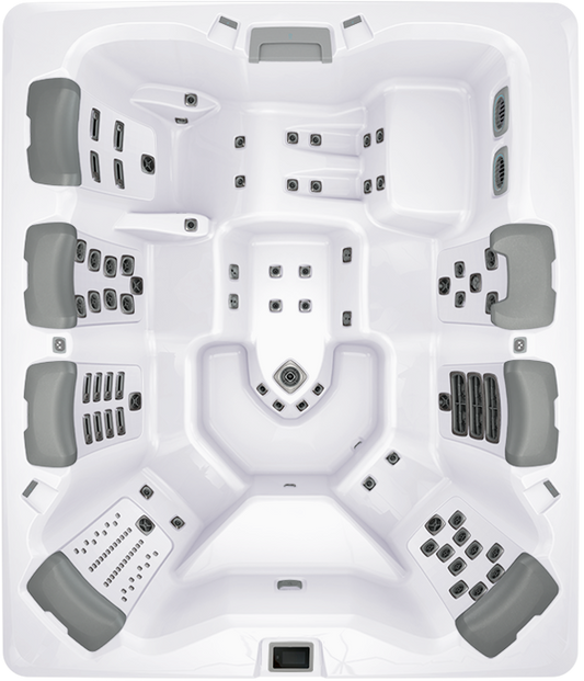 BULLFROG SPAS MODEL A9L
