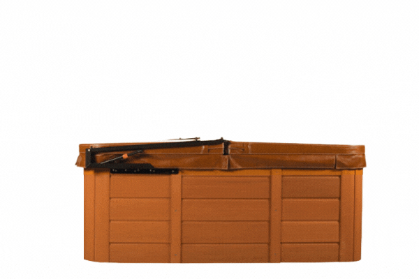 THE COVER VALET CV250
