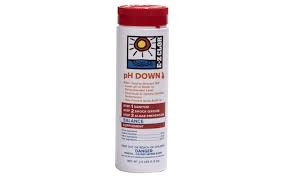 E-Z CLOR Spa PH Down (2LBS)