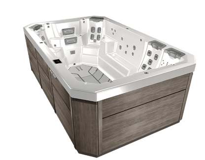 BULLFROG SPAS MODEL S150