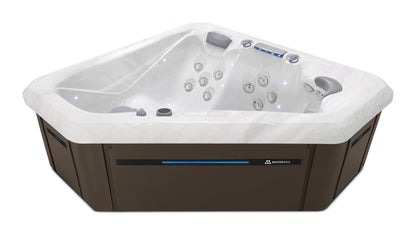 TS 240X hot tub - Sterling Silver shell with Dark Walnut cabinet