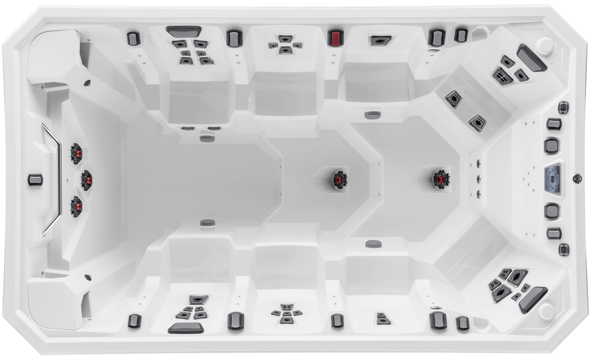 MARQUIS V150P WHITE/CHESTNUT 015301